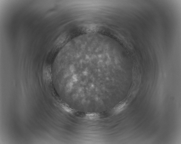 X0000066010240200603031231