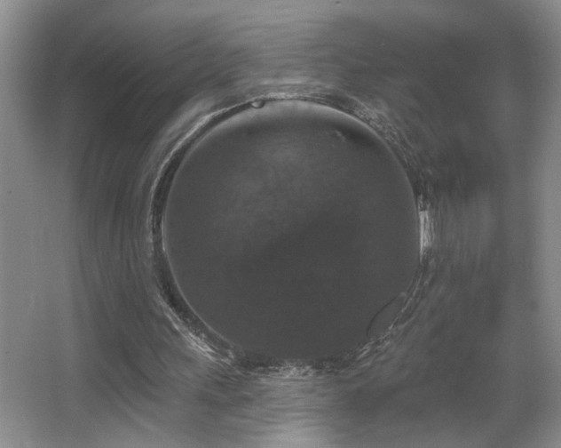 X0000066010243200603031230