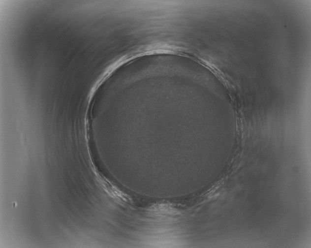 X0000066010244200603031230