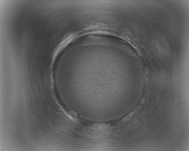 X0000066010245200603031230