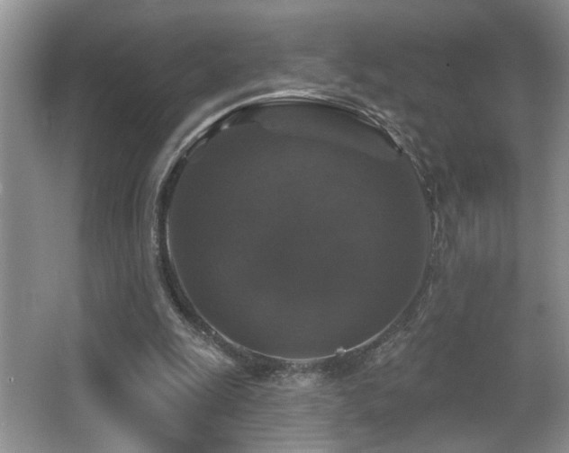X0000066010247200603031230