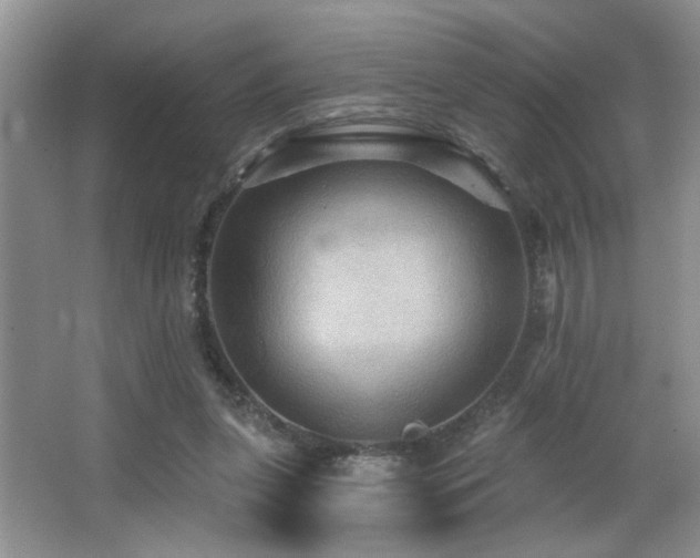 X0000066010255200603031230