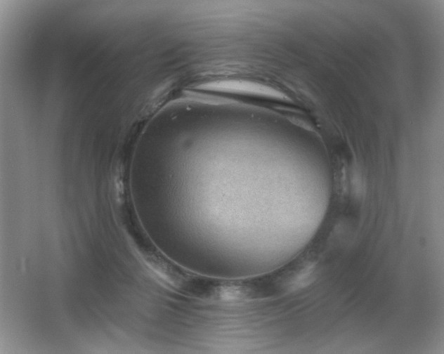 X0000066010264200603031231