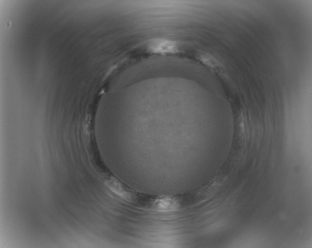 X0000066010275200603031231