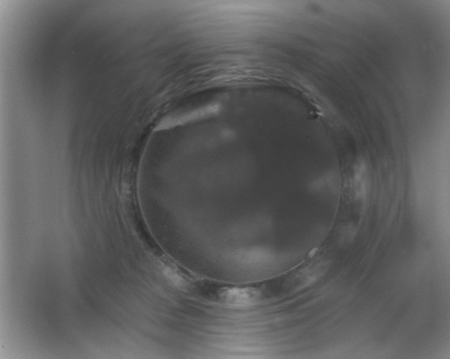 X0000066010277200603031231