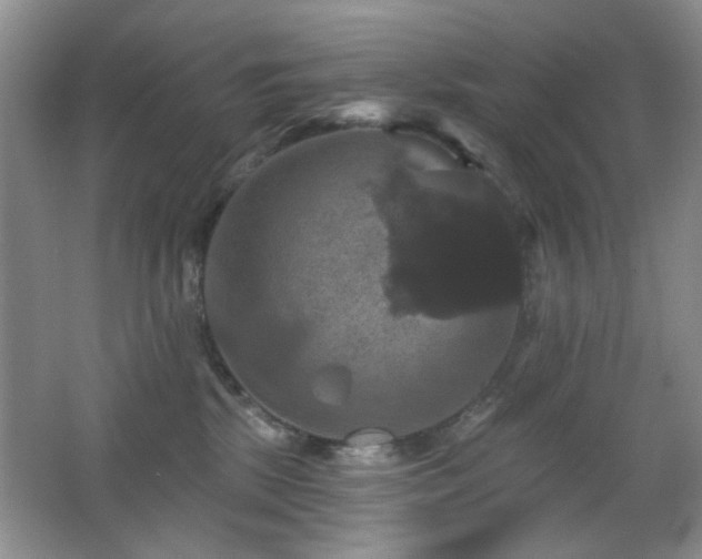 X0000066010281200603031231