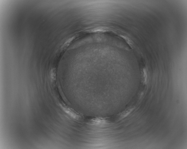 X0000066010284200603031231