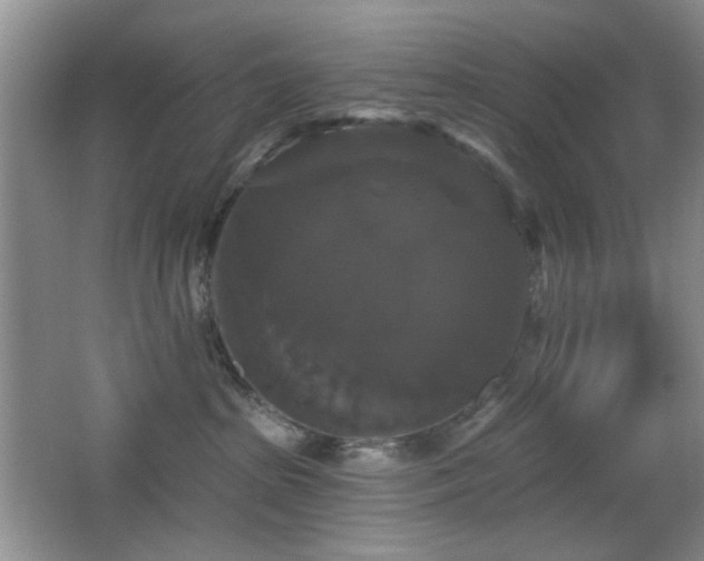 X0000066010285200603031231