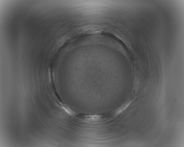 X0000066010288200603031231