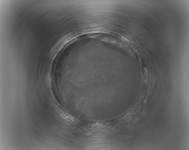 X0000066010290200603031230