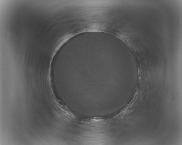 X0000066010292200603031230