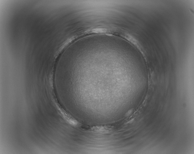 X0000066010297200603031230