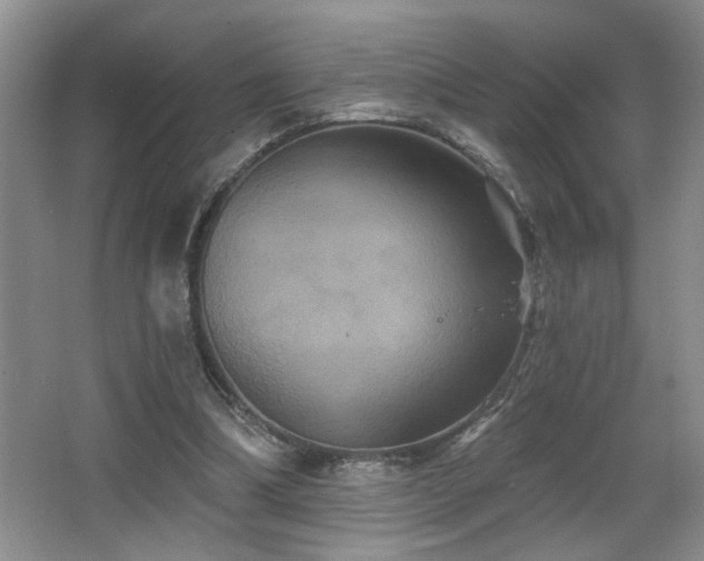 X0000066010298200603031230