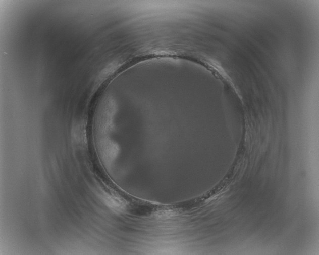 X0000066010299200603031230