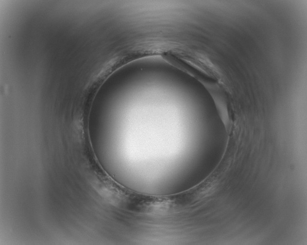 X0000066010306200603031230