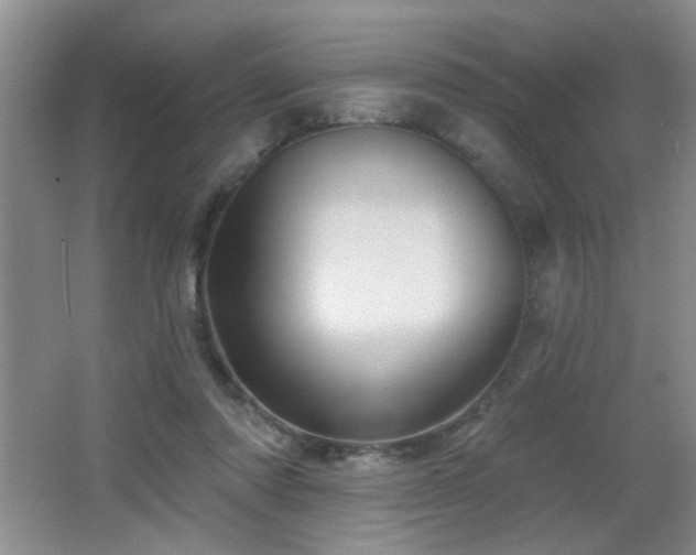 X0000066010310200603031230