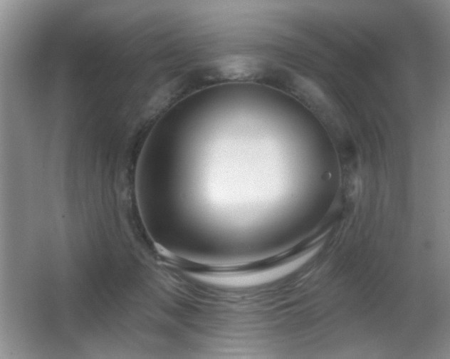X0000066010317200603031230