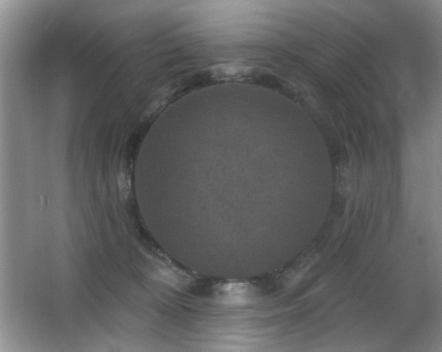 X0000066010324200603031230