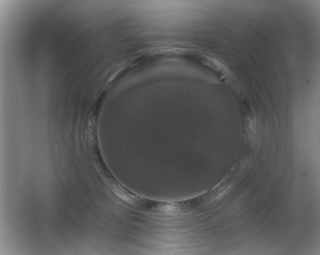 X0000066010325200603031230
