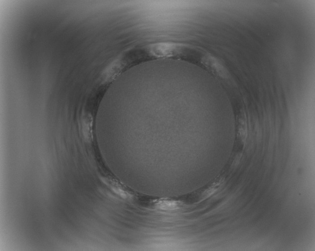 X0000066010332200603031229
