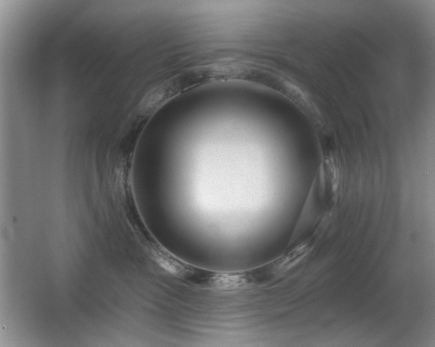X0000066010333200603031229
