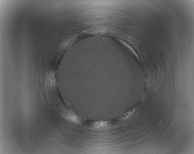X0000066010335200603031229