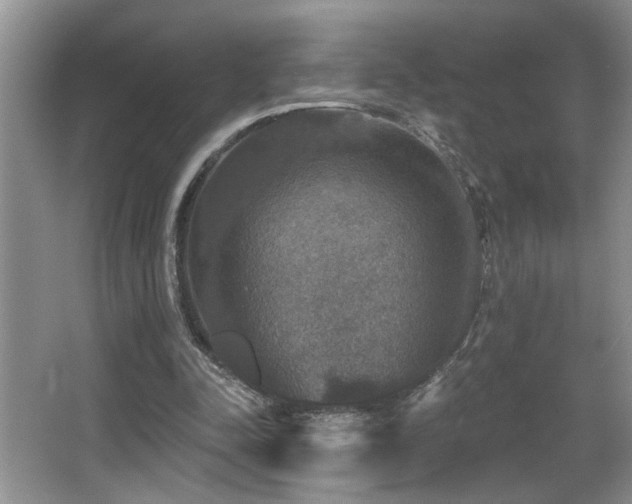 X0000066010342200603031229