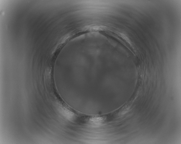 X0000066010357200603031229