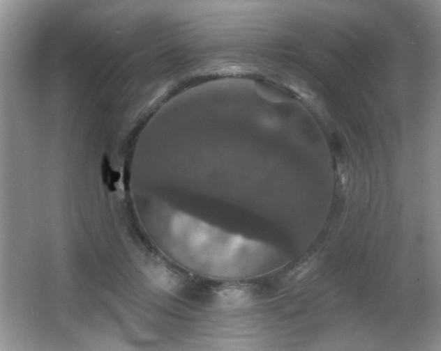 X0000066010358200603031229