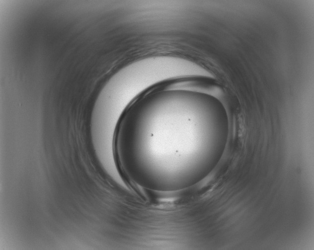 X0000066010362200603031229