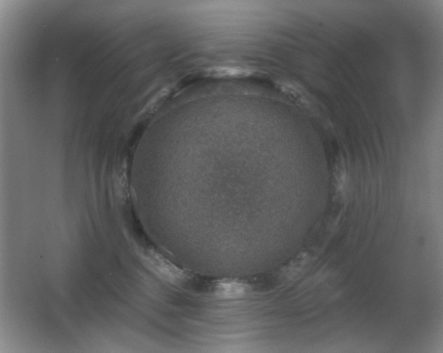 X0000066010376200603031229