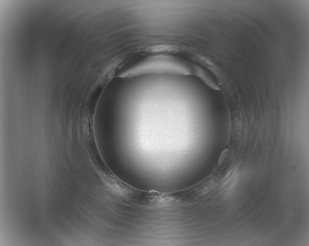 X0000066010379200603031229
