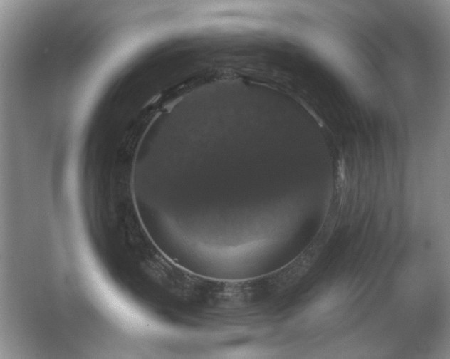 X0000066010383200603031229