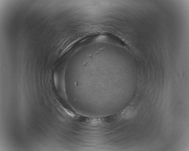 X0000066010384200603031229