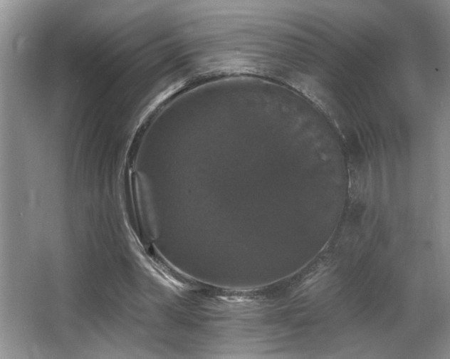 X0000066010390200603031228