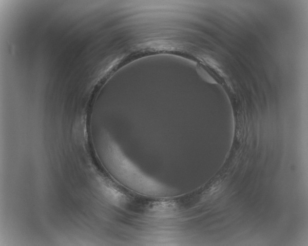 X0000066010398200603031228