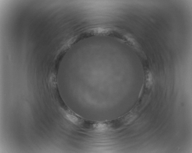 X0000066010419200603031228