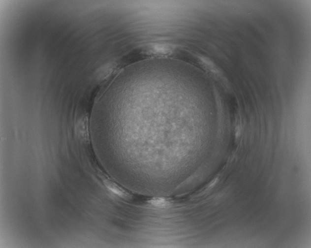 X0000066010425200603031228