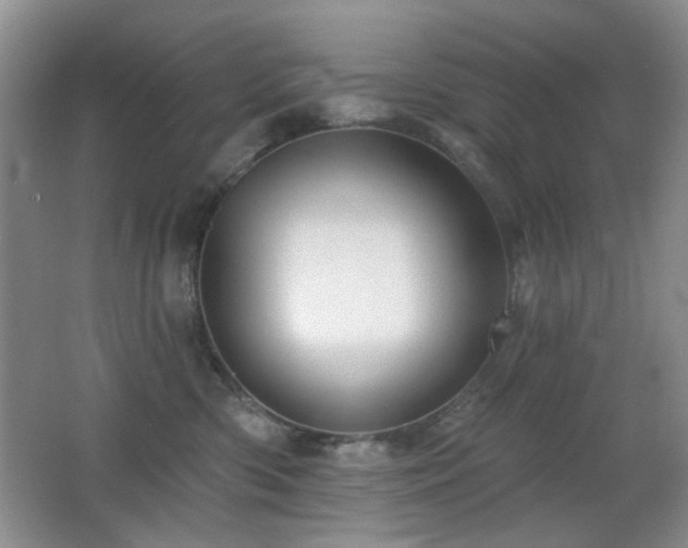 X0000066010426200603031228
