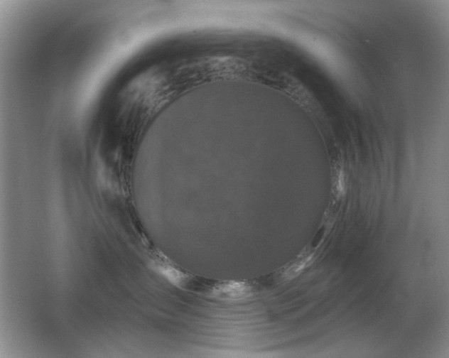 X0000066010431200603031228