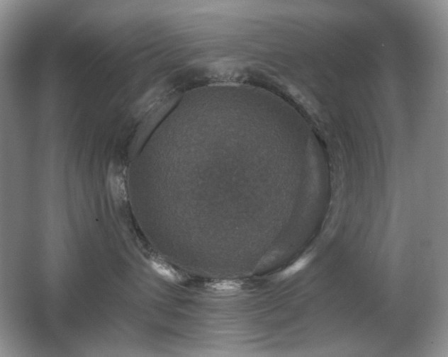 X0000066010432200603031228