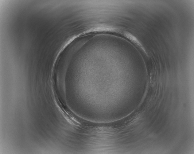 X0000066010436200603031227