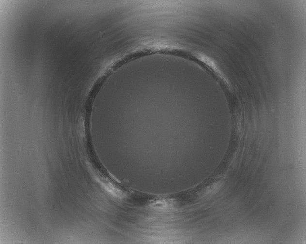 X0000066010447200603031227