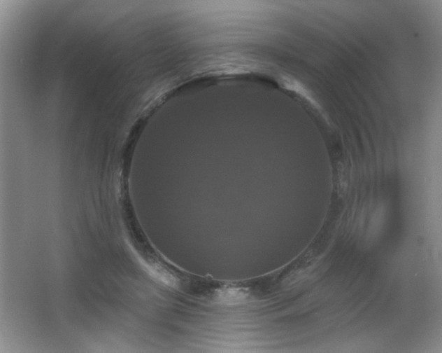 X0000066010451200603031227