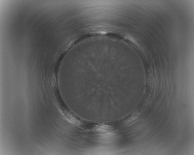 X0000066010459200603031227