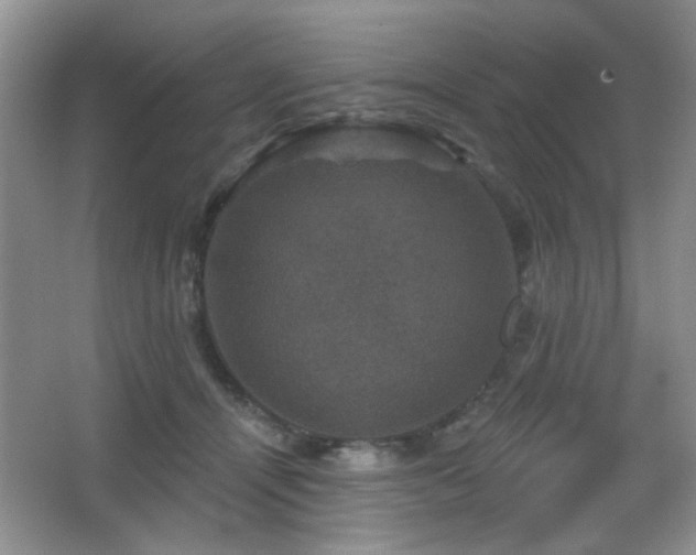 X0000066010464200603031227