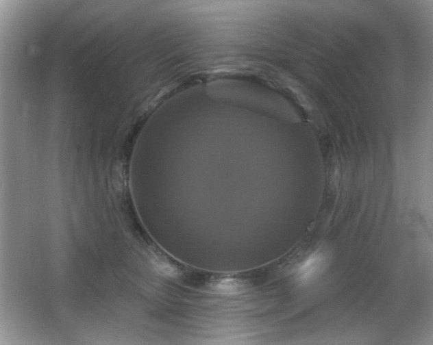 X0000066010467200603031228