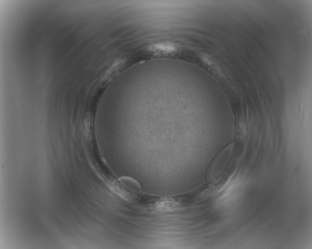 X0000066010468200603031228