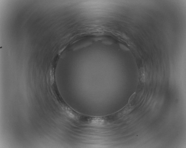 X0000066010471200603031228
