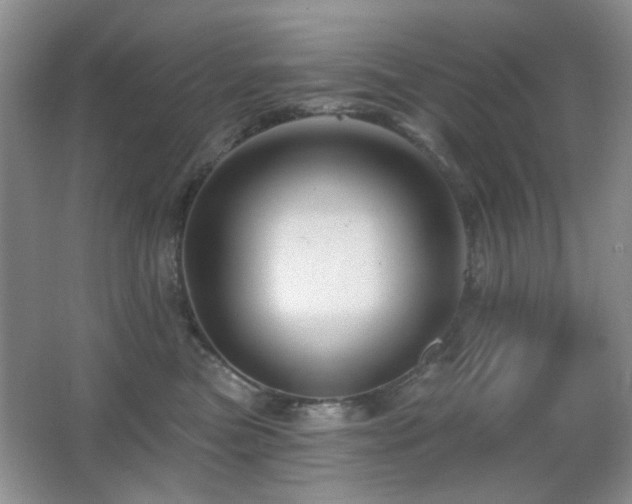 X0000066010473200603031228